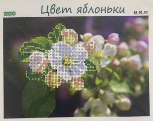 Схема для вишивки бісером "Цвіт яблуньки"( art: Б №0131) Б №0131 фото