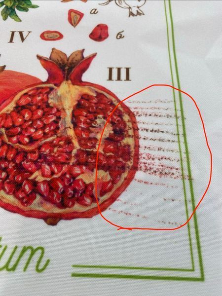 Принт під вишивку стрічками, гладдю #99 Принт під вишивку стрічками, гладдю #99 фото